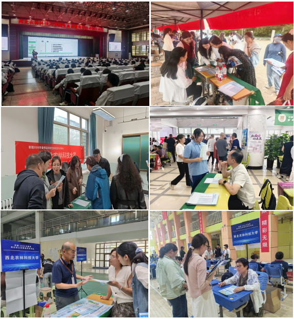 千里赴疆:15地28场咨询为学子逐梦 拼图.png