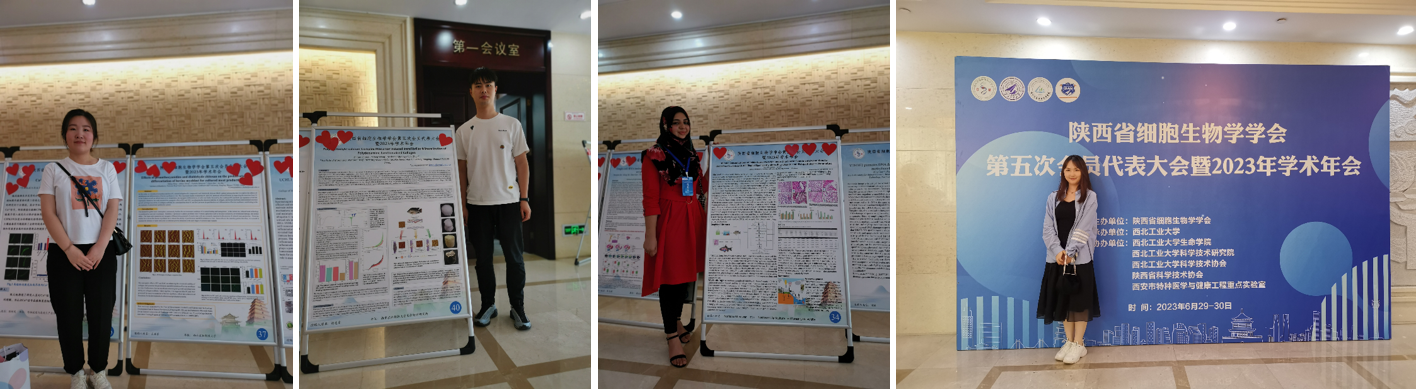 2f6b98d7ebbf46b0817c1a24f49e4a97.png 2f6b98d7ebbf46b0817c1a24f49e4a97.png